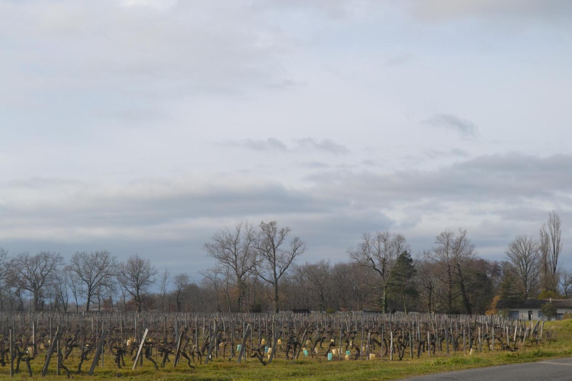 Maison Bertineau Proche Saint-Emilion Neac Экстерьер фото